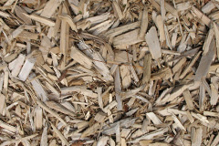 biomass boilers Treforda