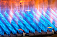 Treforda gas fired boilers